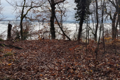 Herbstmomente im Stiftswald