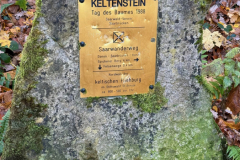 Herbstmomente im Stiftswald