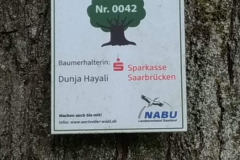 Impressionen vom Stiftsforst