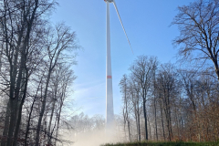 Impressionen vom Stiftsforst