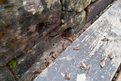 Sanierung des Kreuzgangs