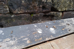 Sanierung des Kreuzgangs