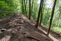 Schäden durch Starkregen 2024