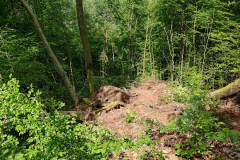Schäden durch Starkregen 2024